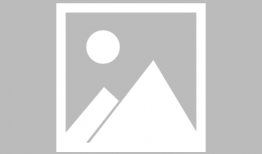 91直播主播分配,揭秘热门主播背后的运营策略